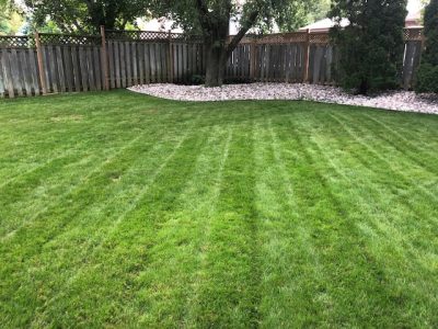 Spring 2025 Lawn Care – TLG Lawn Maintenance - Whitby / Durham Region
