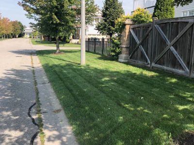 Spring 2025 Lawn Care – TLG Lawn Maintenance - Whitby / Durham Region