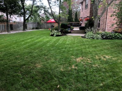 Spring 2025 Lawn Care – TLG Lawn Maintenance - Whitby / Durham Region